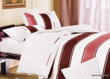 ZEBRA-BORDO Strona główna
