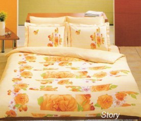 STORY-SARI